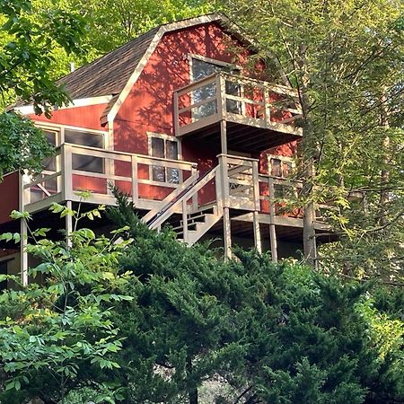 Saw Creek Cabin - Regent Hilltop 부시킬 외부 사진