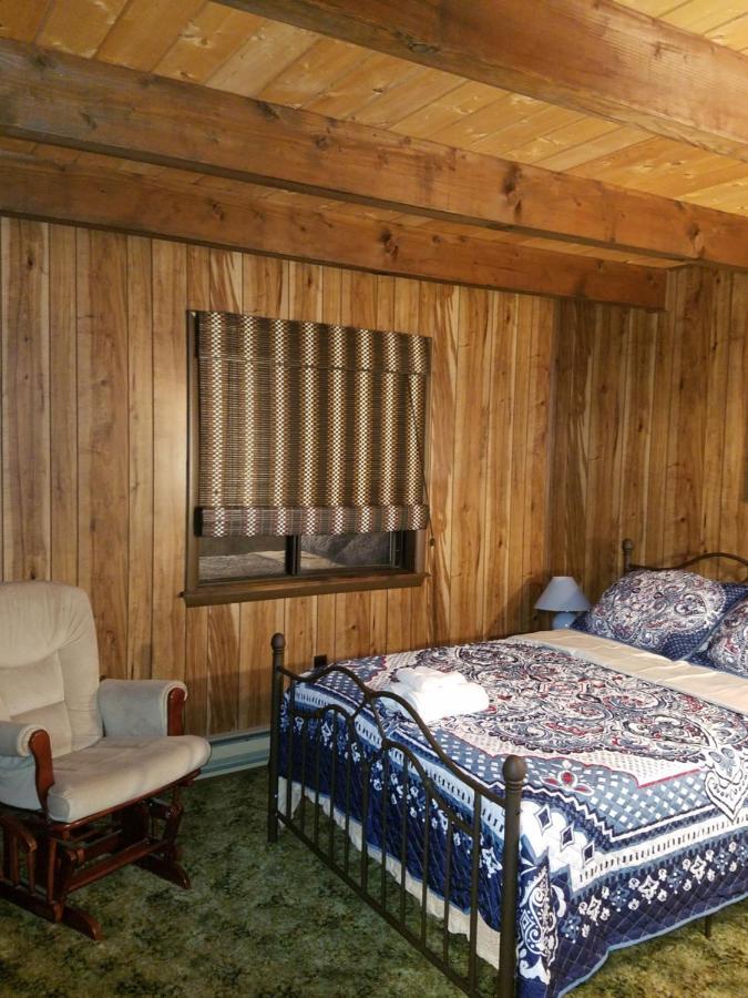 Saw Creek Cabin - Regent Hilltop 부시킬 외부 사진