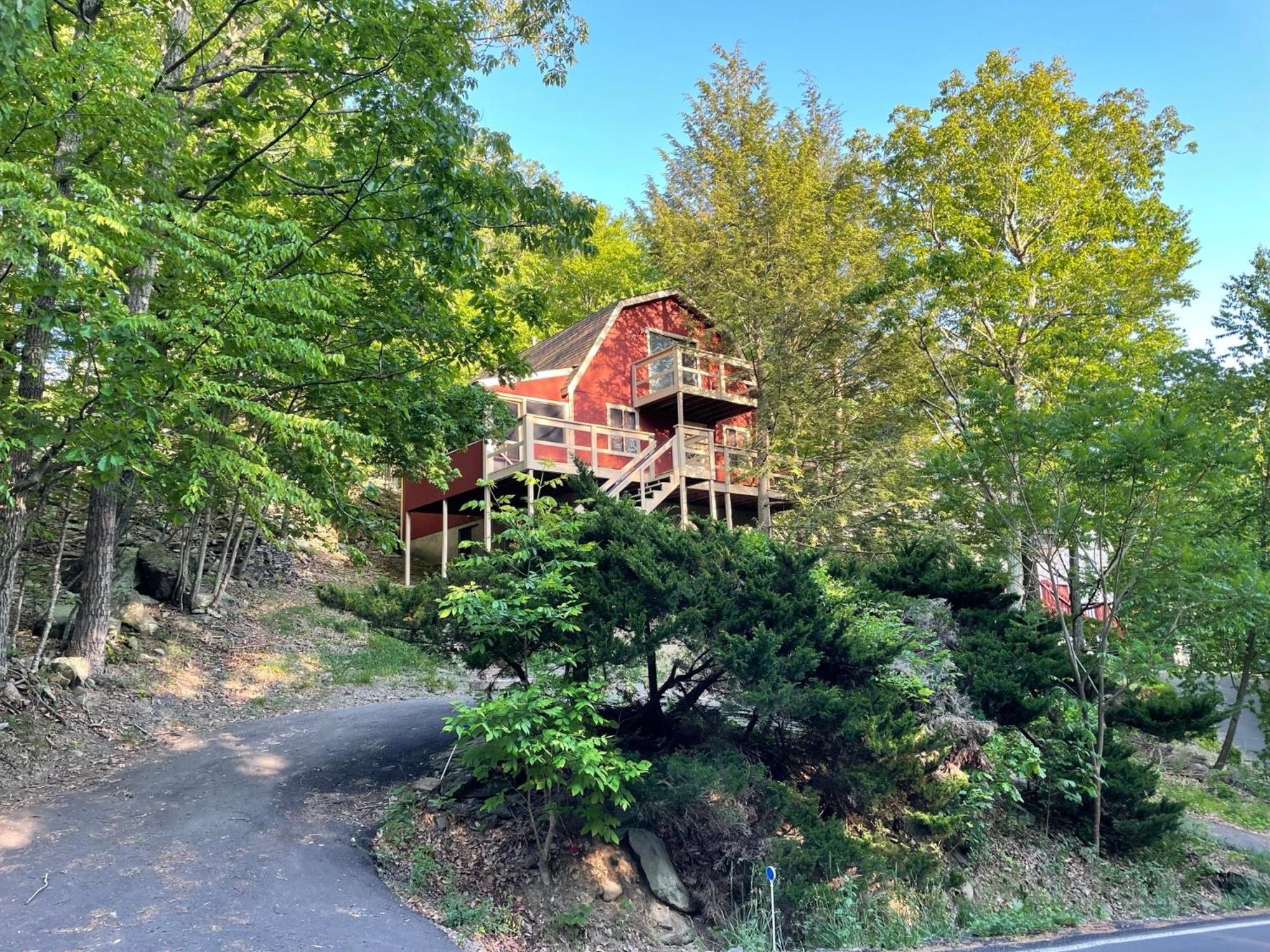 Saw Creek Cabin - Regent Hilltop 부시킬 외부 사진