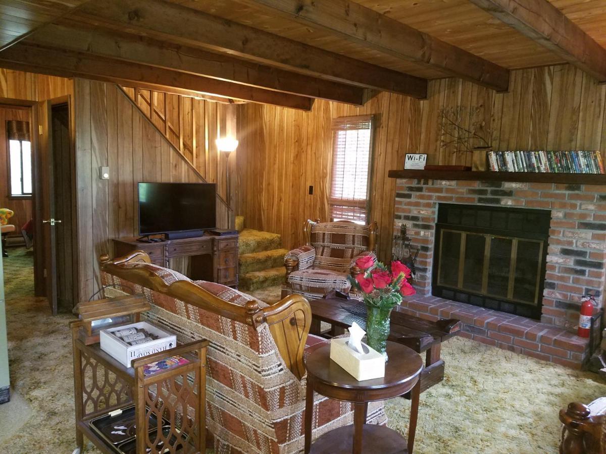 Saw Creek Cabin - Regent Hilltop 부시킬 외부 사진
