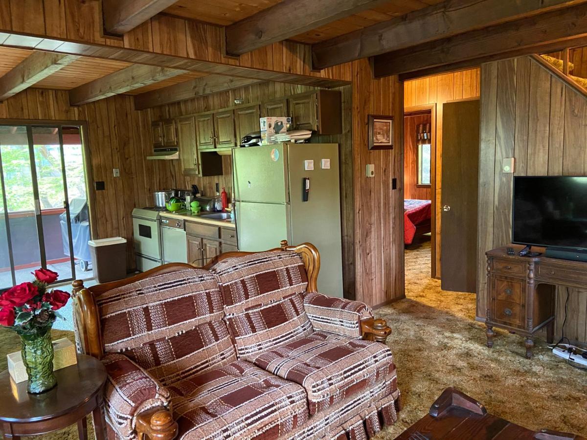 Saw Creek Cabin - Regent Hilltop 부시킬 외부 사진