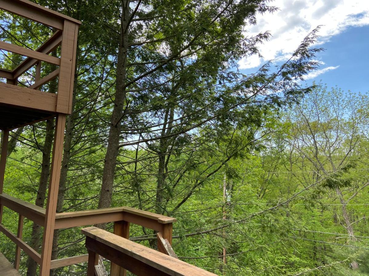 Saw Creek Cabin - Regent Hilltop 부시킬 외부 사진